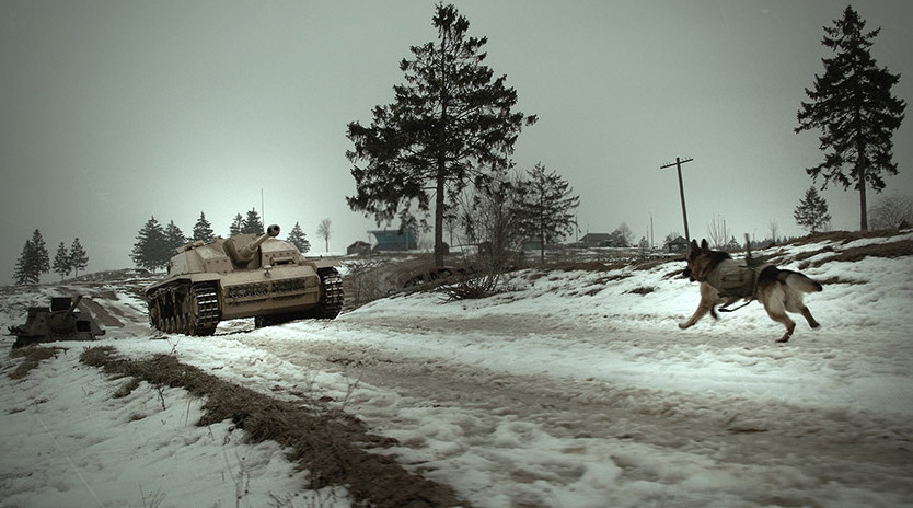 Собаки истребители танков фото