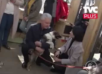 Мэр Москвы с собакой