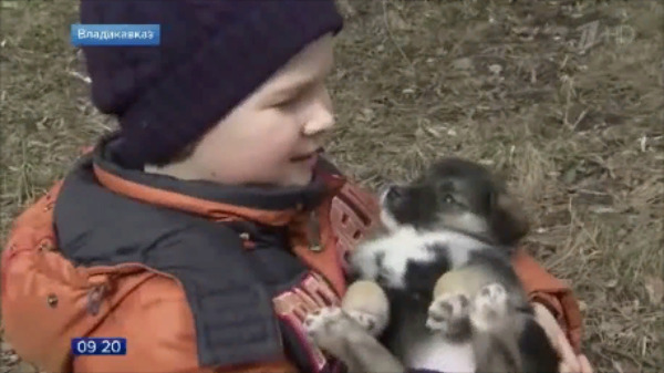 6-летний мальчик спас 100 бездомных животных